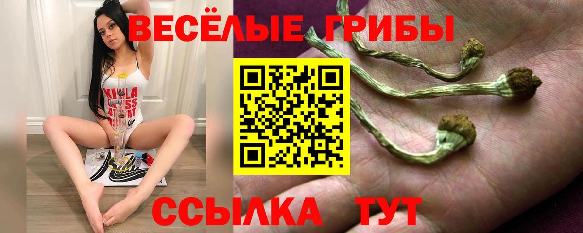 Псилоцибиновые грибы прущие грибы  Галлюциногенные грибы Cubensis  Кировск  Вход с VPN 